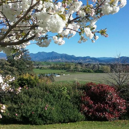 Omaka Heights Countrystay Renwick Eksteriør bilde