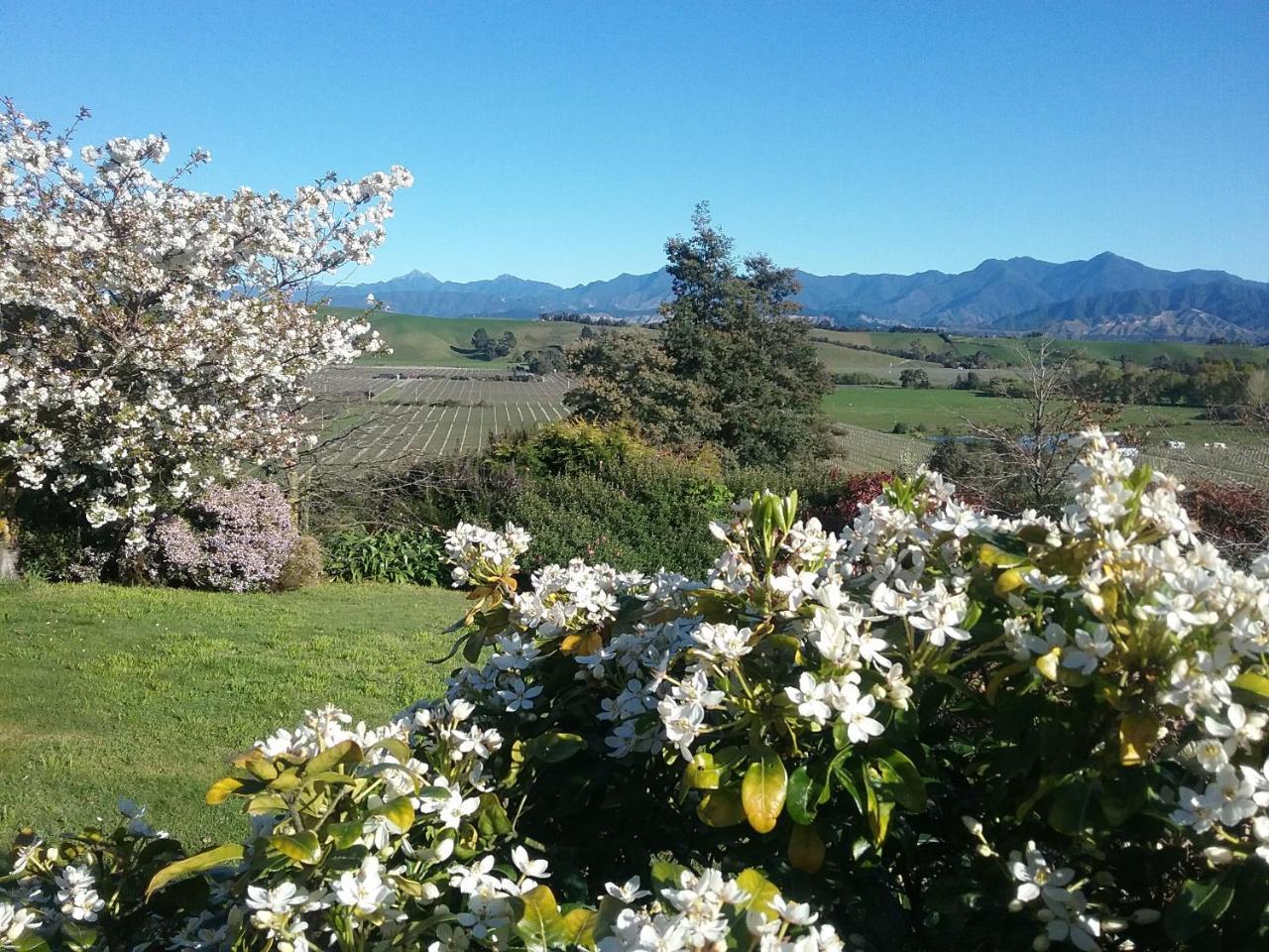 Omaka Heights Countrystay Renwick Eksteriør bilde