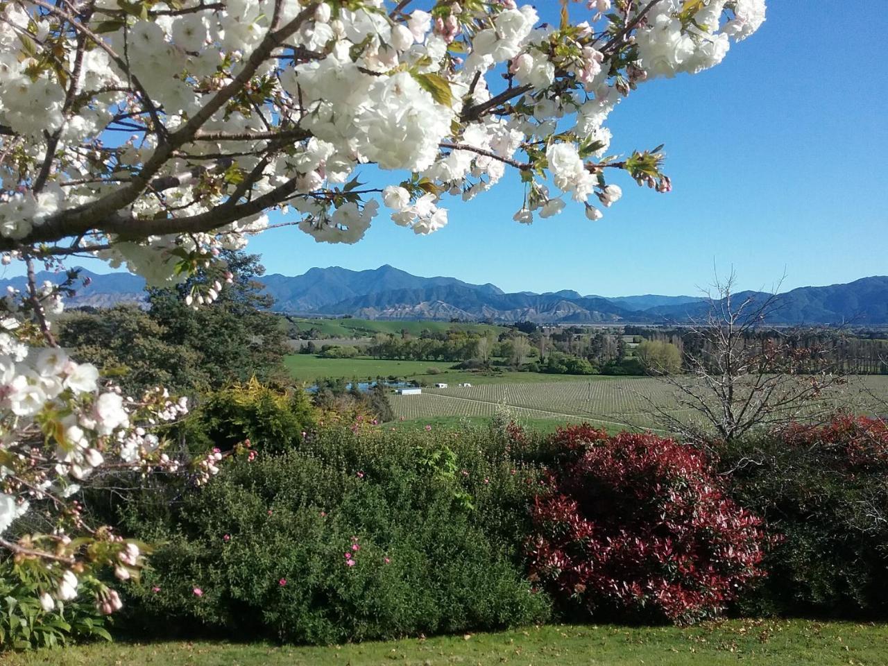 Omaka Heights Countrystay Renwick Eksteriør bilde